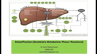 Xenobiotic Metabolism  Detoxification  Phase I Reactions  Biochemistry  Part 01 [upl. by Eaner168]