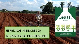 MECANISMO DE AÇÃO BIOSSÍNTESE DE CAROTENOIDES [upl. by Enilorac]