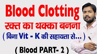 Blood Clotting  Blood Coagulation in Hindi [upl. by Aimak806]