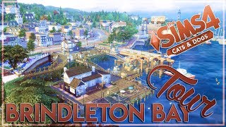 BRINDLETON BAY OVERVIEW every lot  The Sims 4 Cats amp Dogs Expansion Pack [upl. by Akcinahs]