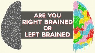 Are you Right Brained or Left Brained  Fun Tests [upl. by Flossie]