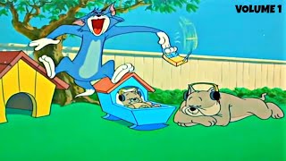 Tom and Jerry 2019  Top Tom Scream Compilation [upl. by Nnaegroeg]