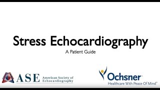 Stress Echocardiography A Patient Guide [upl. by Yor341]