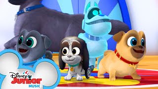 Puppy Playcare Song 🐾  Music Video  Puppy Dog Pals  Disney Junior [upl. by Mordecai826]