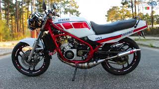 RD 350 YPVS  Walkaround video 12 000rpm [upl. by Refinnaj]