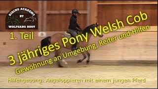 Pony quotCookiequot 1 Teil Das erste mal reiten auf unserer Anlage worauf jeder Reiter achten sollte [upl. by Chemosh]