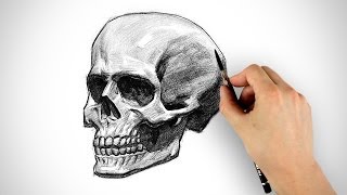 Draw a Skull  Halloween Special [upl. by Valery]