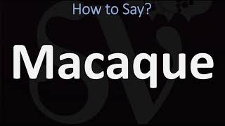 How to Pronounce Macaque CORRECTLY [upl. by Einre]