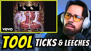 TOOL  TICKS amp LEECHES REACTION [upl. by Eidod]