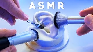 ASMR XXL Brushing amp Brushes ONLY Compilation NO TALKING Tingle Study Sleep Relax [upl. by Guerra]