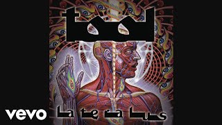 TOOL  Ticks amp Leeches Audio [upl. by Lesly]