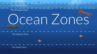 Ocean Zones  Nautilus Live [upl. by Osterhus903]