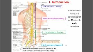 Epidural Placement Instructional Video [upl. by Eilzel]