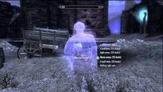 Skryim Dawnguard 25 Soul Husks for Morven Stroud in the Soul Cairn [upl. by Clute875]