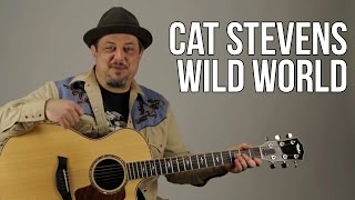 Cat Stevens Wild World Guitar Lesson  Tutorial [upl. by Perot]