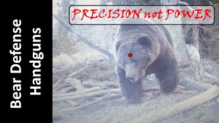 Grizzly Bears Conservation Efforts [upl. by Suryc]