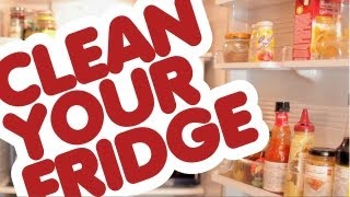 How to Clean a Refrigerator Kitchen Cleaning Ideas [upl. by Artinahs46]