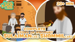 Prophet Stories In English  Prophet Shammil AS amp Prophet Sulaiman AS Compilation [upl. by Adigun]