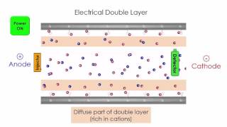 Capillary Electrophoresis [upl. by Atnuhs]