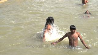 Naga Sadhus perform Shahi Snan during Nashik Kumbh [upl. by Chapnick]