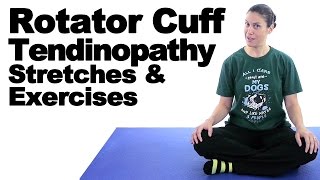 Rotator Cuff Tendinopathy Stretches amp Exercises  Ask Doctor Jo [upl. by Ahserak]