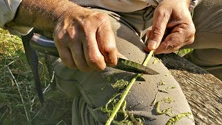 How To Make Natural Cordage From Bramble [upl. by Holmun]