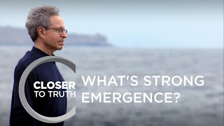 Whats Strong Emergence  Episode 1905  Closer To Truth [upl. by Lil138]